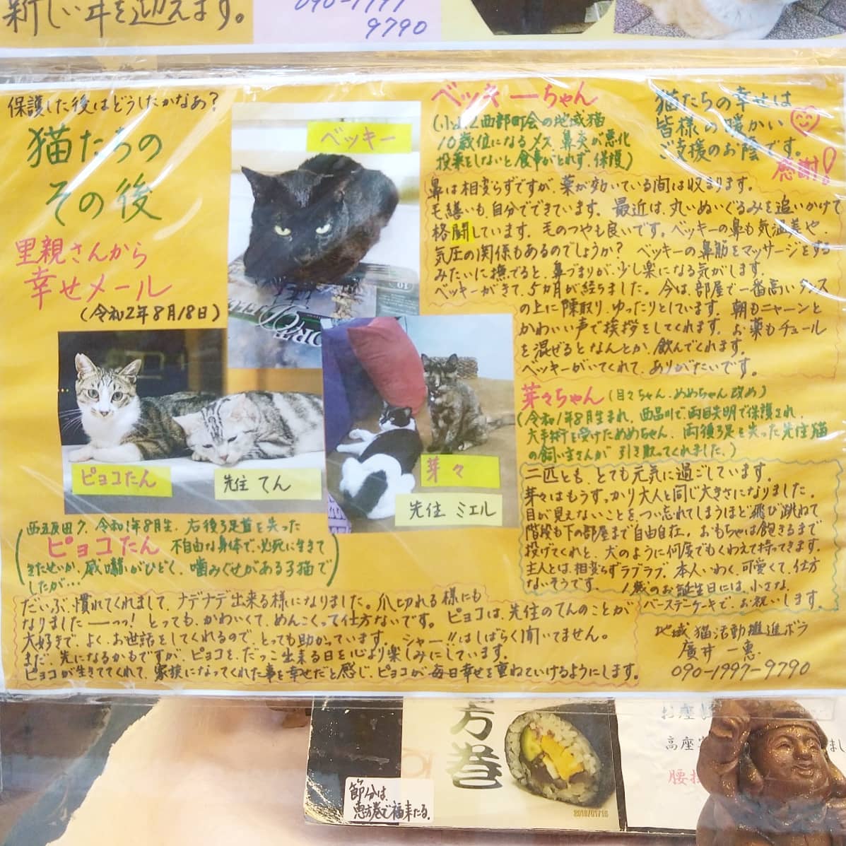 #武蔵小山情報#すし割烹巴店頭のメニューの所に 里親募集やら保護猫情報を掲載して猫愛が溢れるお寿司屋さんだね。K-1ジム近くにある寿司屋さんでわりとヘビロテで保護猫情報更新してるので前を歩いた時にでも猫チェックしてみたら面白いかもね。#捨て猫 #保護猫 #猫 #猫のいる暮らし #猫好き #猫好きさんと繋がりたい #猫との暮らし #猫部 #猫のいる生活 #猫スタグラム #猫好きな人と繋がりたい #武蔵小山 #武蔵小山グルメ情報 #武蔵小山商店街