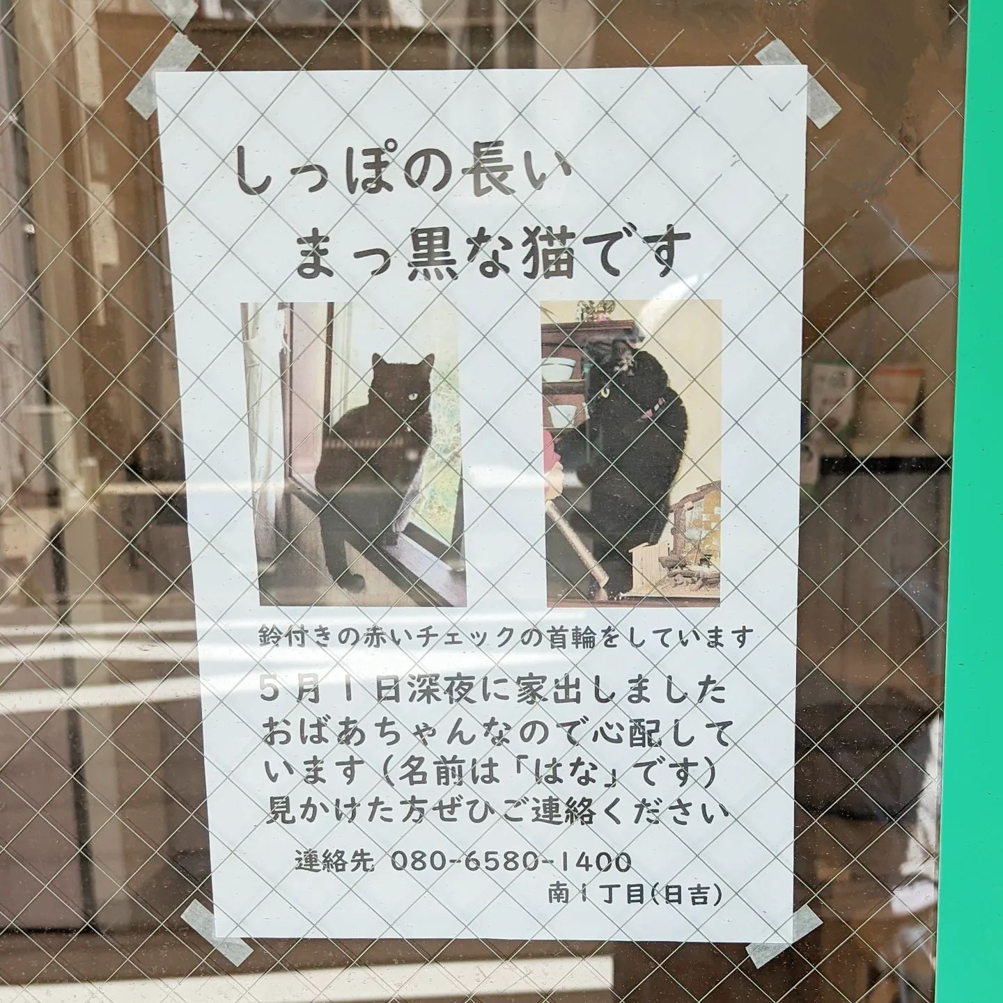 #武蔵小山情報 #迷い猫 しっぽの長いまっ黒な猫を探してます。はなさんが見つかりますように。#武蔵小山 #猫 #迷い猫探してます #迷い猫さがしてます #迷い猫捜索中 #迷い猫捜索 #猫を探しています #猫探してます #西小山 #洗足