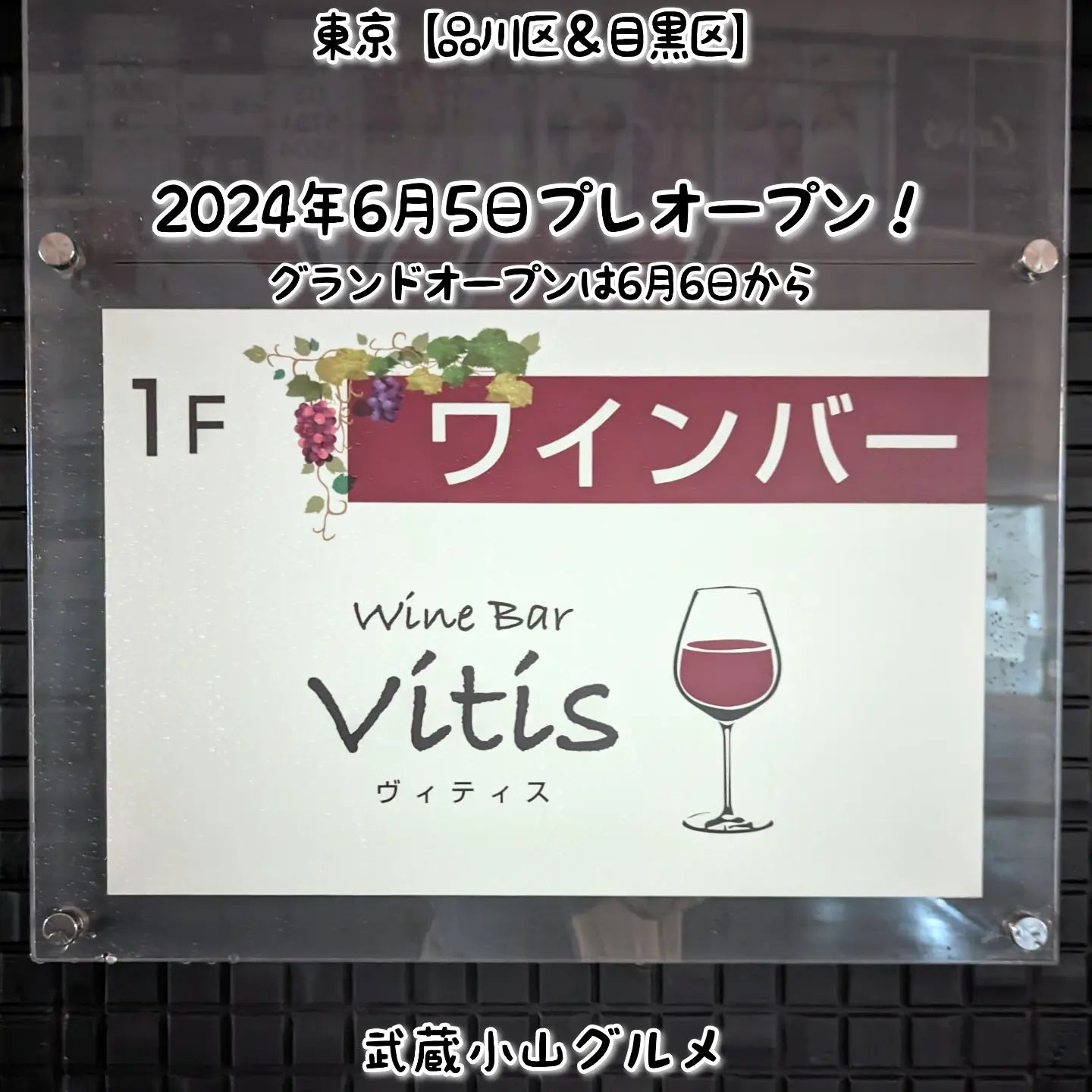 ワインバーヴィティス(Wine Bar Vitis)20240604