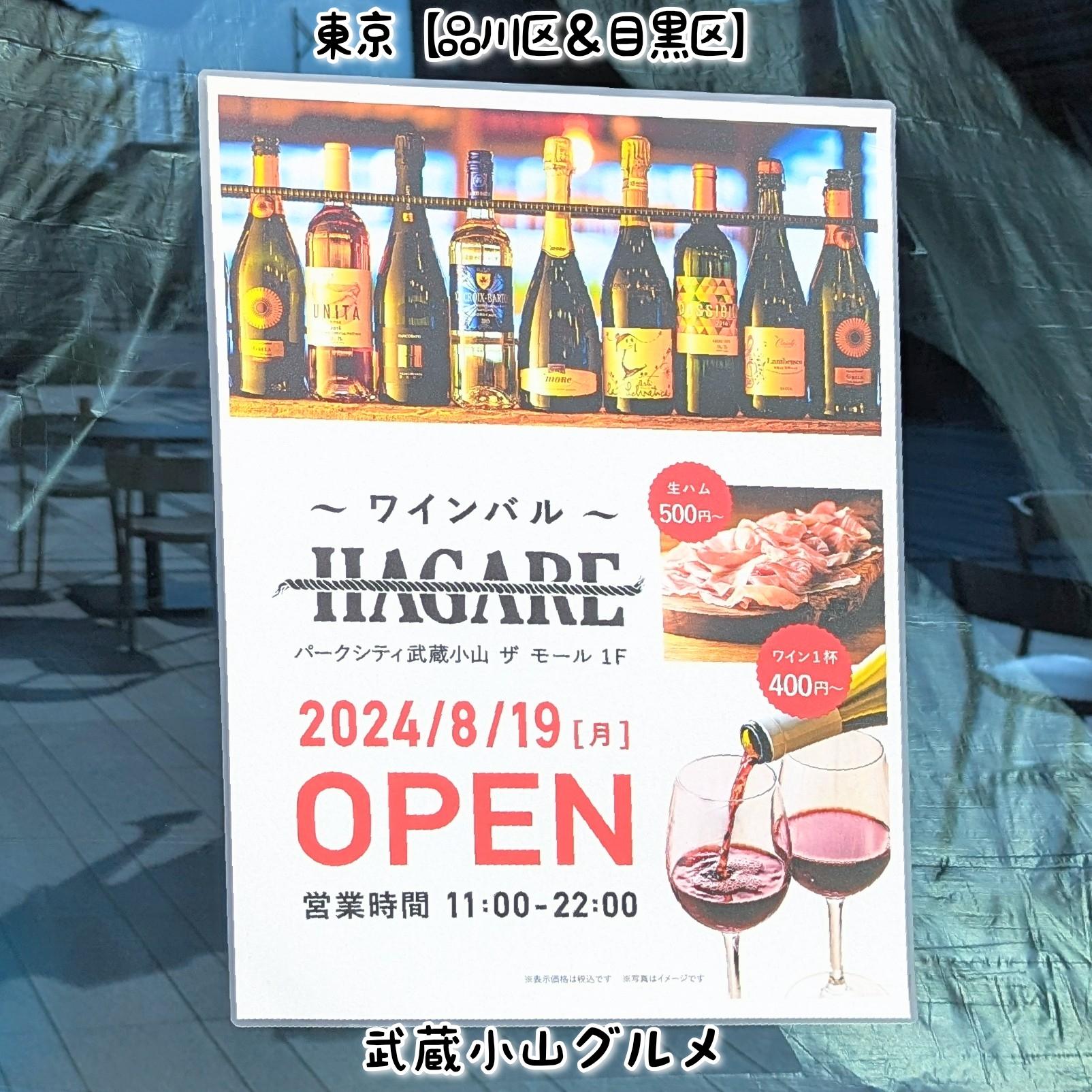 HAGARE20240806