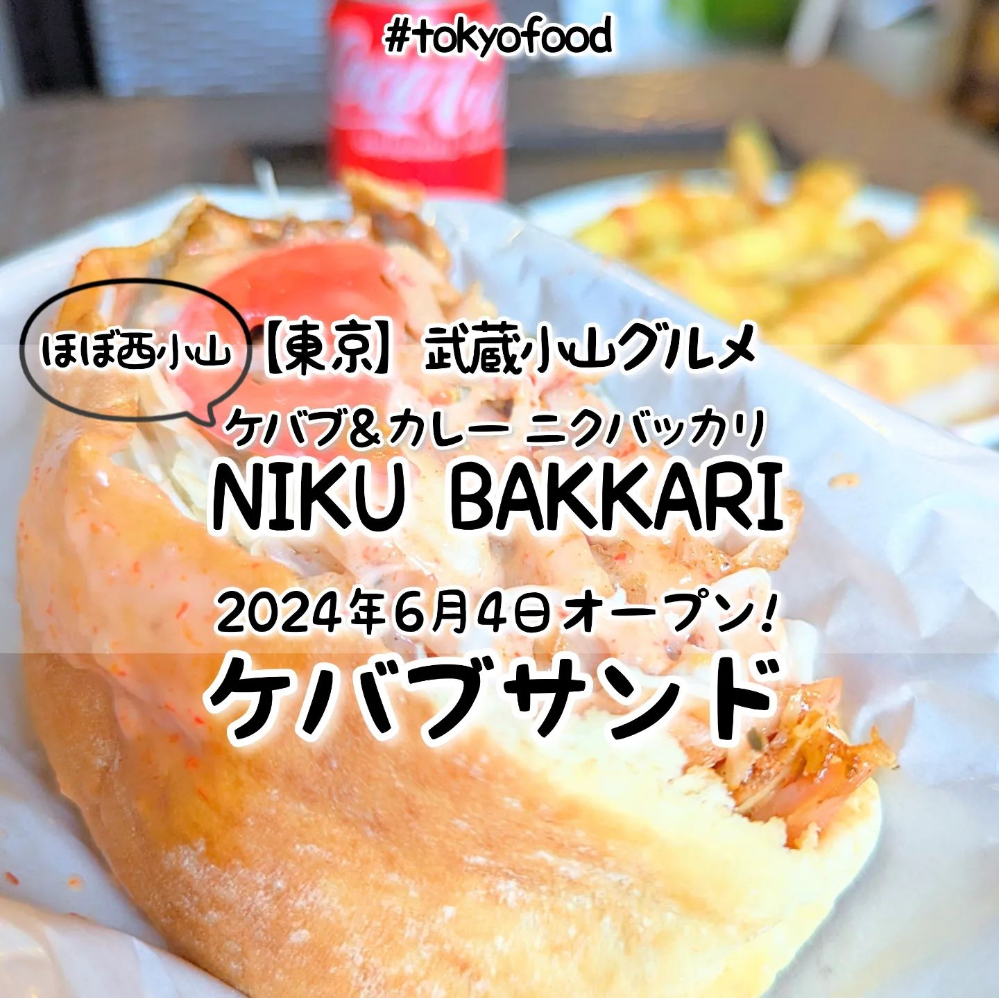 ケバブ＆カレー NIKU BAKKARI20240928