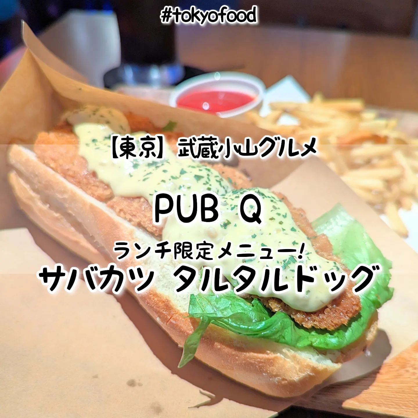 PUBQ20240928