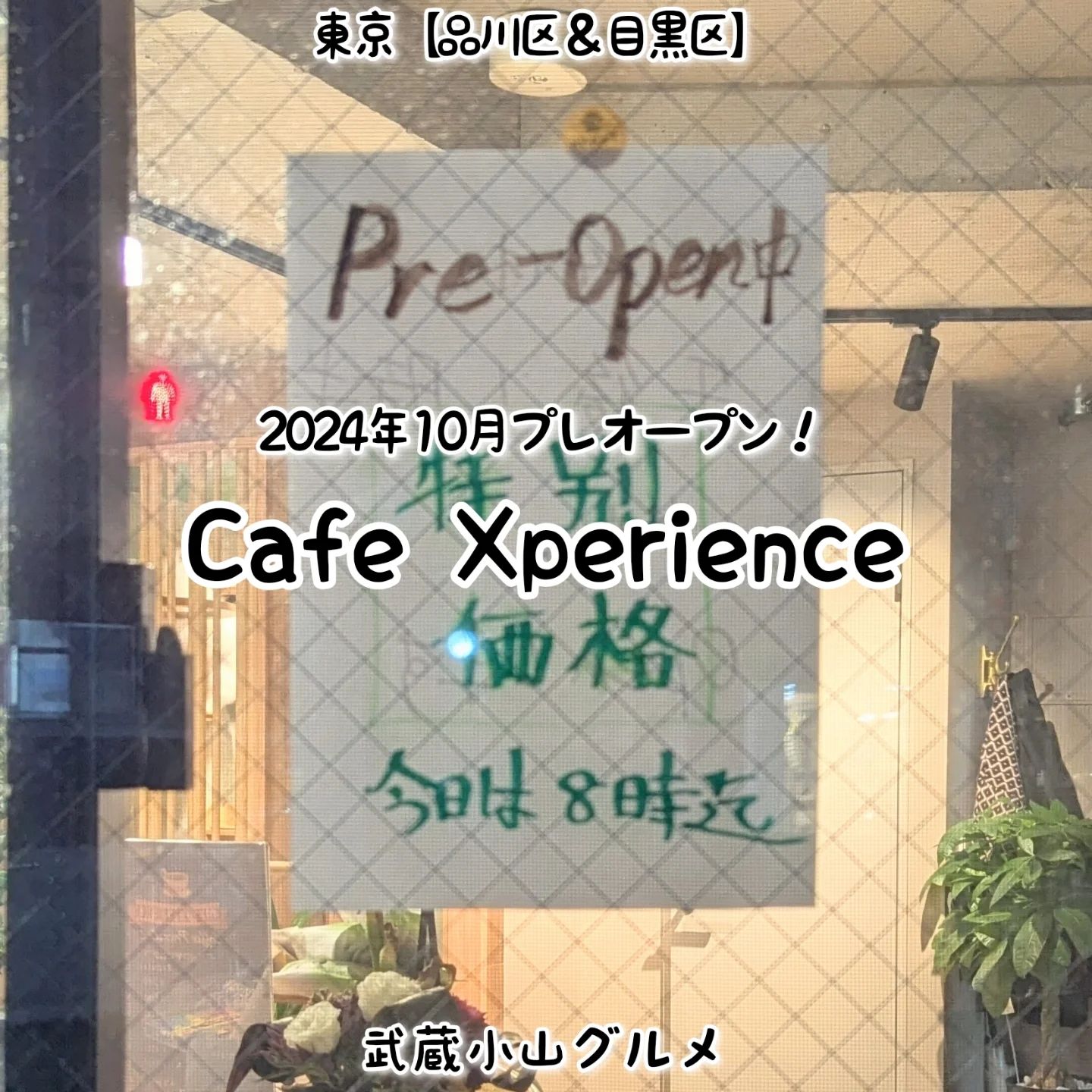 Cafe Xperience20241102